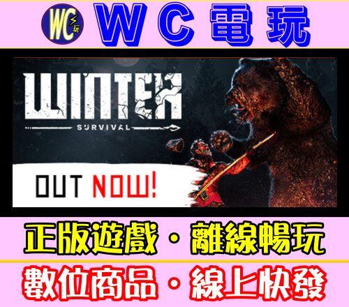 【WC電玩】冬日倖存者 中文 PC離線STEAM遊戲 Winter Survival